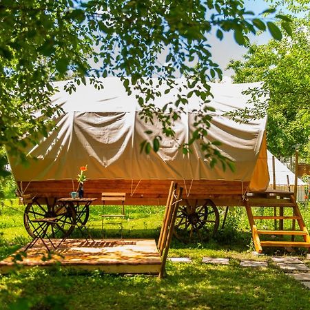 Hotel Dragonfly Gardens - The Wagons Braszów Zewnętrze zdjęcie