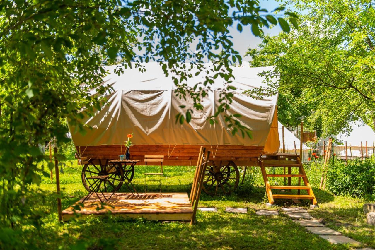 Hotel Dragonfly Gardens - The Wagons Braszów Zewnętrze zdjęcie