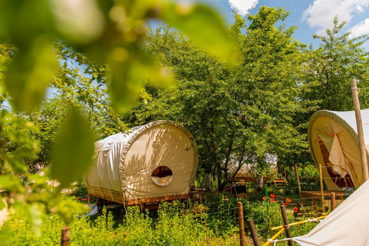 Hotel Dragonfly Gardens - The Wagons Braszów Zewnętrze zdjęcie