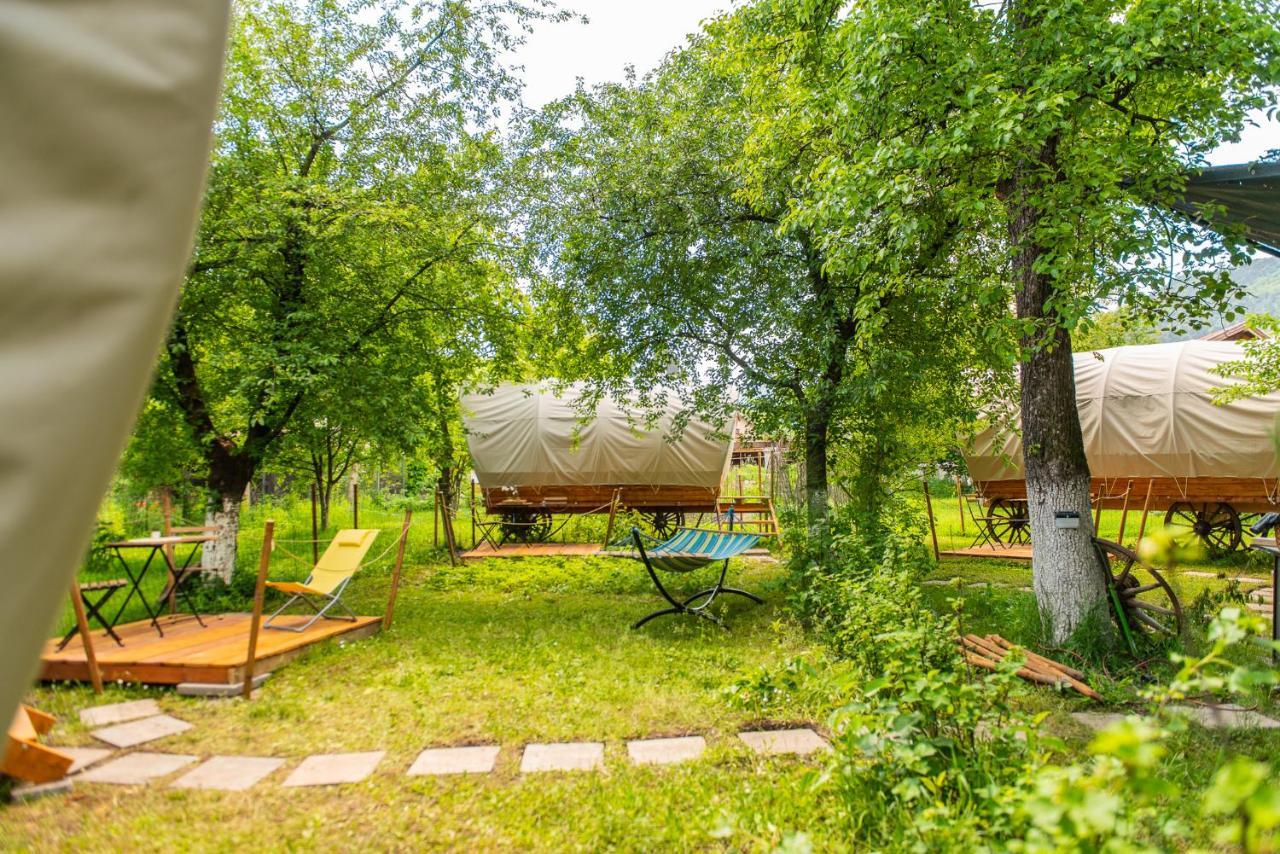 Hotel Dragonfly Gardens - The Wagons Braszów Zewnętrze zdjęcie