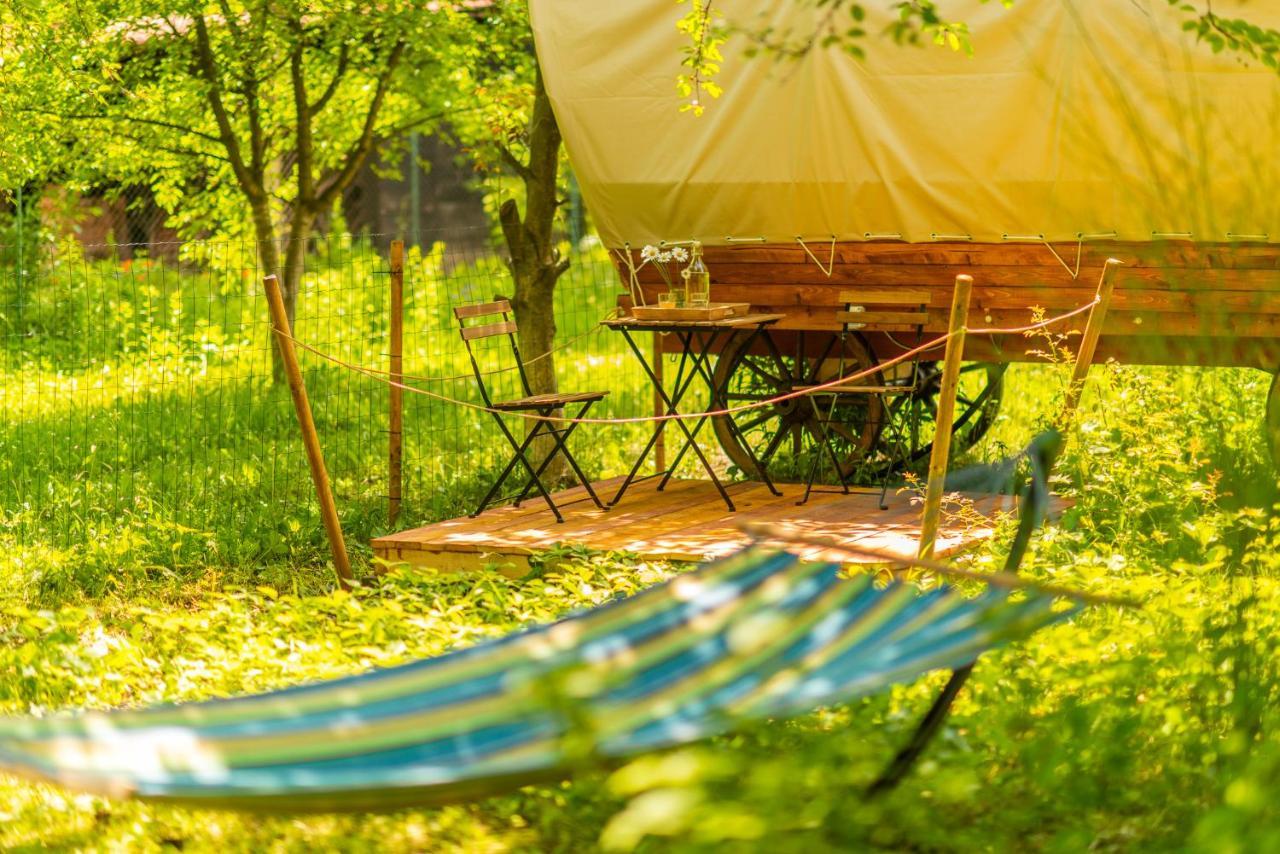 Hotel Dragonfly Gardens - The Wagons Braszów Zewnętrze zdjęcie
