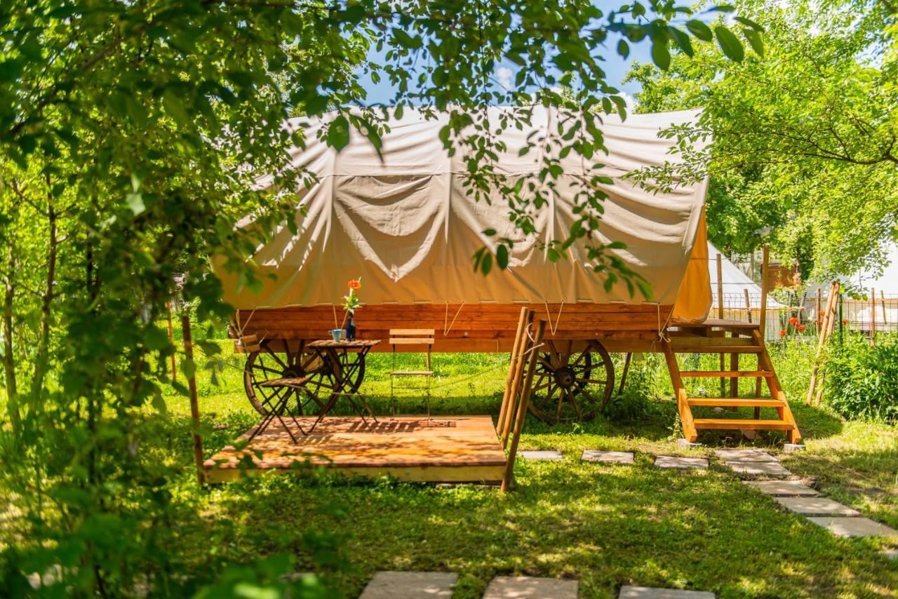 Hotel Dragonfly Gardens - The Wagons Braszów Zewnętrze zdjęcie