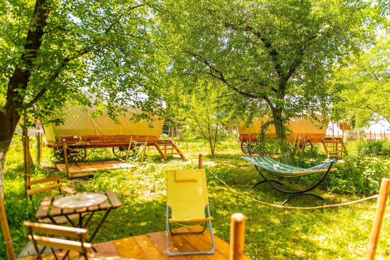Hotel Dragonfly Gardens - The Wagons Braszów Zewnętrze zdjęcie