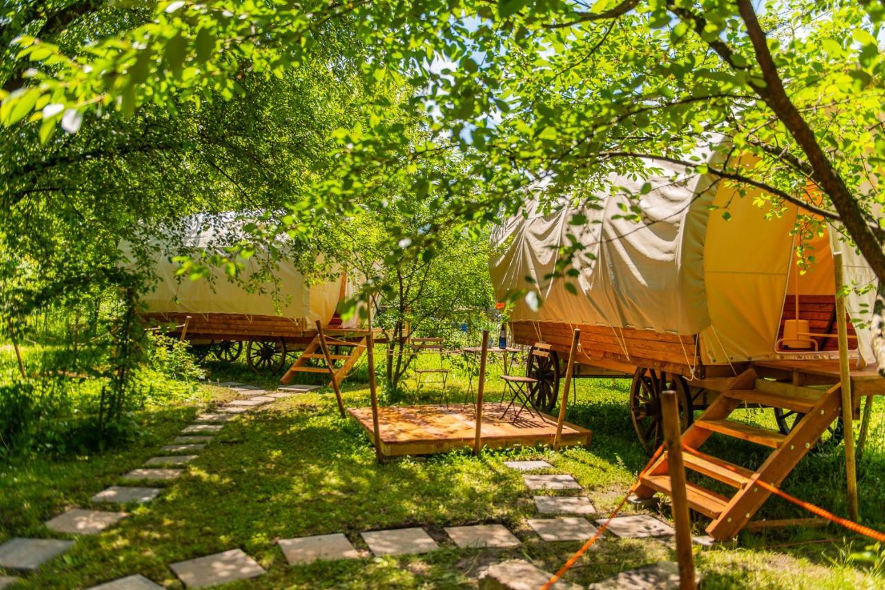 Hotel Dragonfly Gardens - The Wagons Braszów Zewnętrze zdjęcie