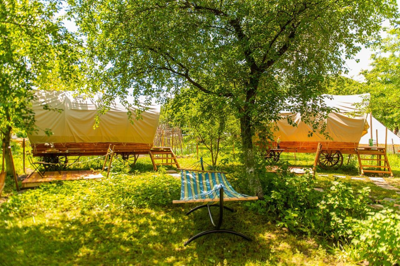 Hotel Dragonfly Gardens - The Wagons Braszów Zewnętrze zdjęcie