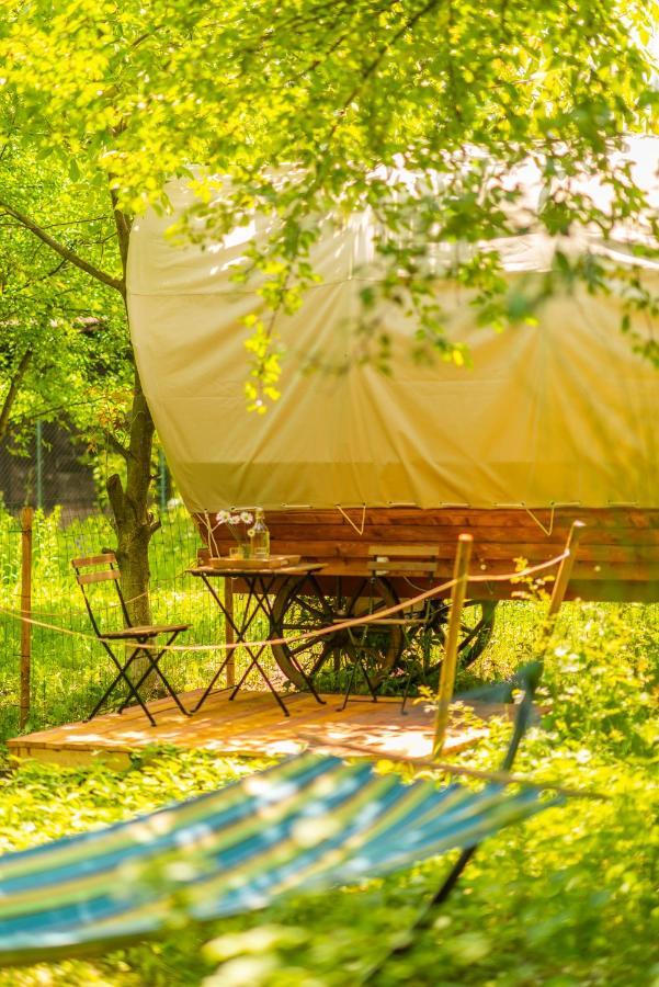 Hotel Dragonfly Gardens - The Wagons Braszów Zewnętrze zdjęcie