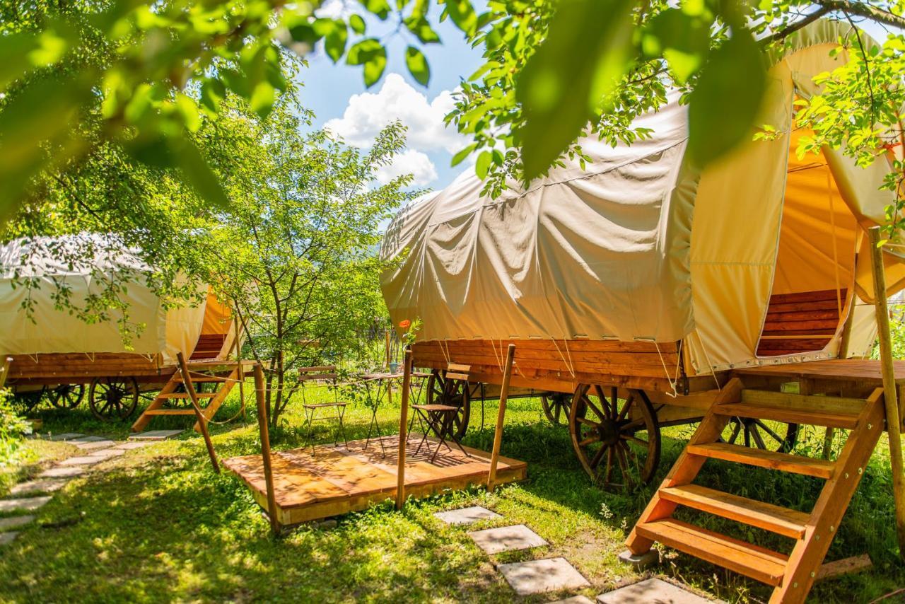 Hotel Dragonfly Gardens - The Wagons Braszów Zewnętrze zdjęcie