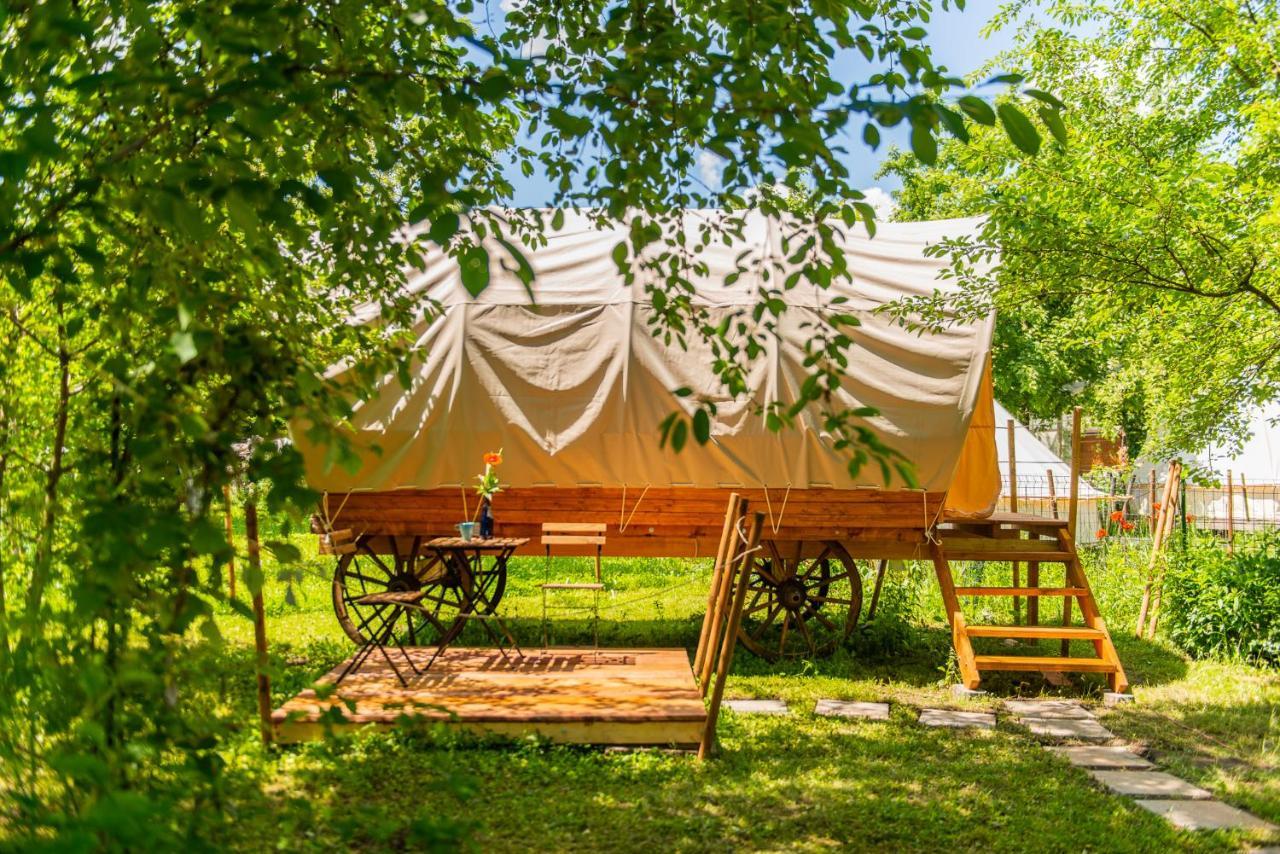 Hotel Dragonfly Gardens - The Wagons Braszów Zewnętrze zdjęcie