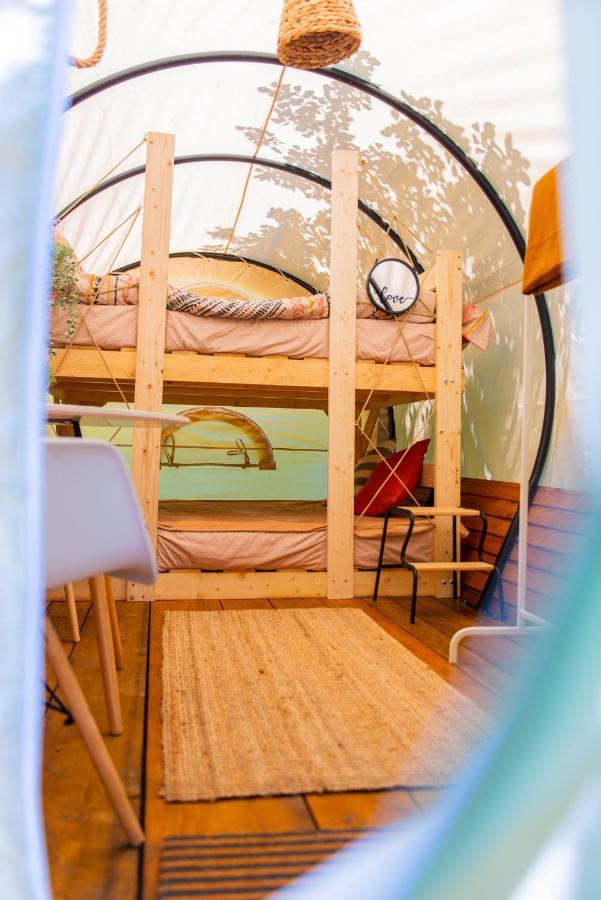 Hotel Dragonfly Gardens - The Wagons Braszów Zewnętrze zdjęcie