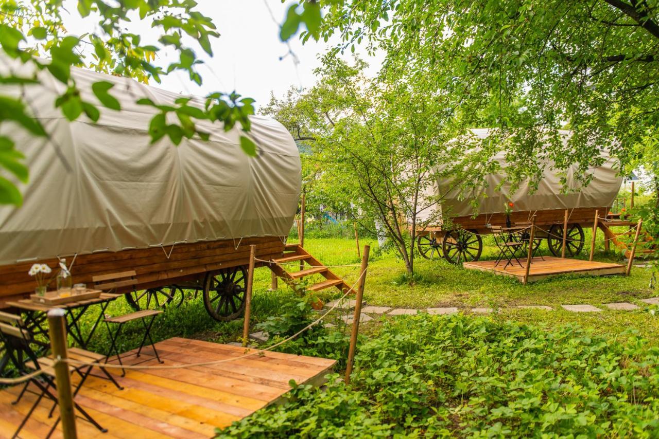 Hotel Dragonfly Gardens - The Wagons Braszów Zewnętrze zdjęcie