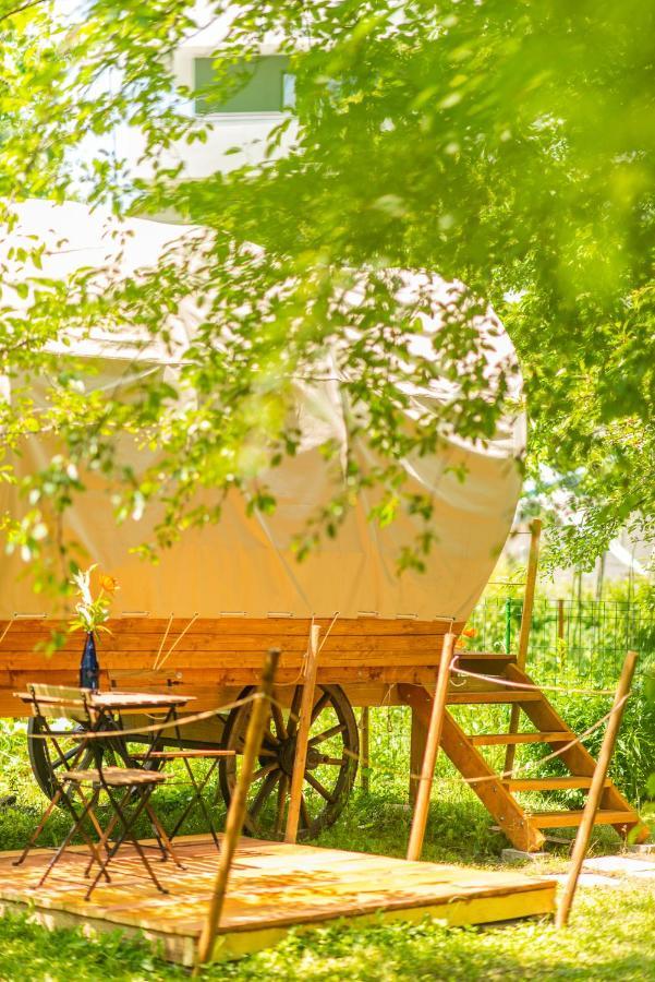 Hotel Dragonfly Gardens - The Wagons Braszów Zewnętrze zdjęcie