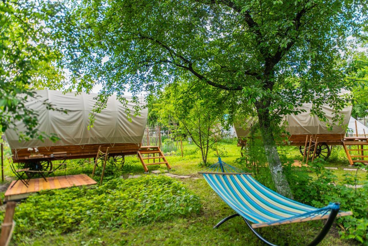 Hotel Dragonfly Gardens - The Wagons Braszów Zewnętrze zdjęcie