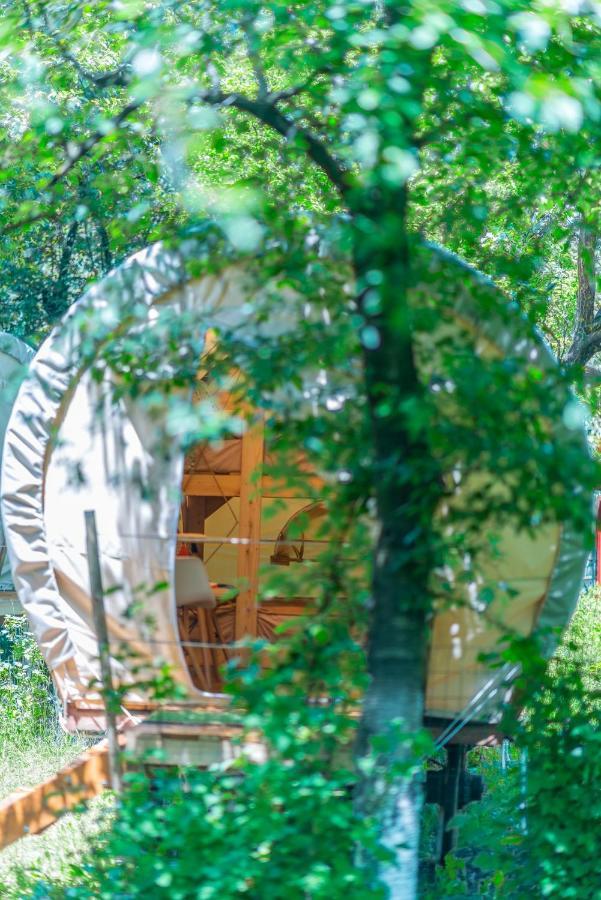 Hotel Dragonfly Gardens - The Wagons Braszów Zewnętrze zdjęcie