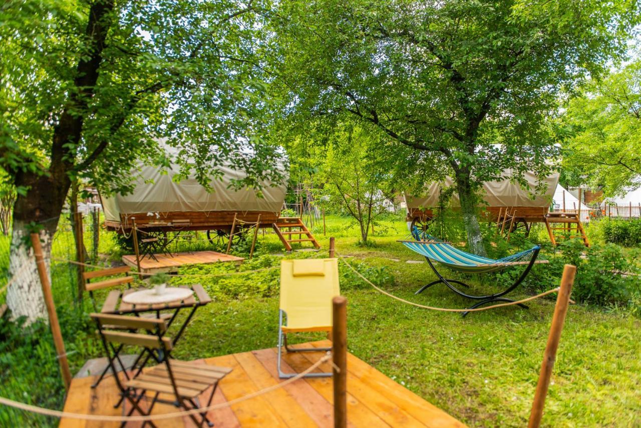 Hotel Dragonfly Gardens - The Wagons Braszów Zewnętrze zdjęcie