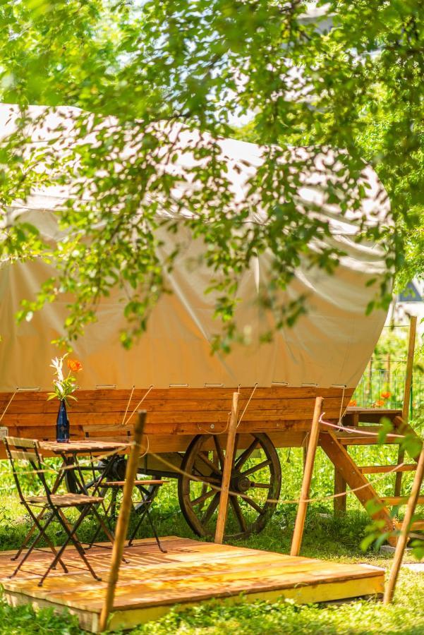 Hotel Dragonfly Gardens - The Wagons Braszów Zewnętrze zdjęcie
