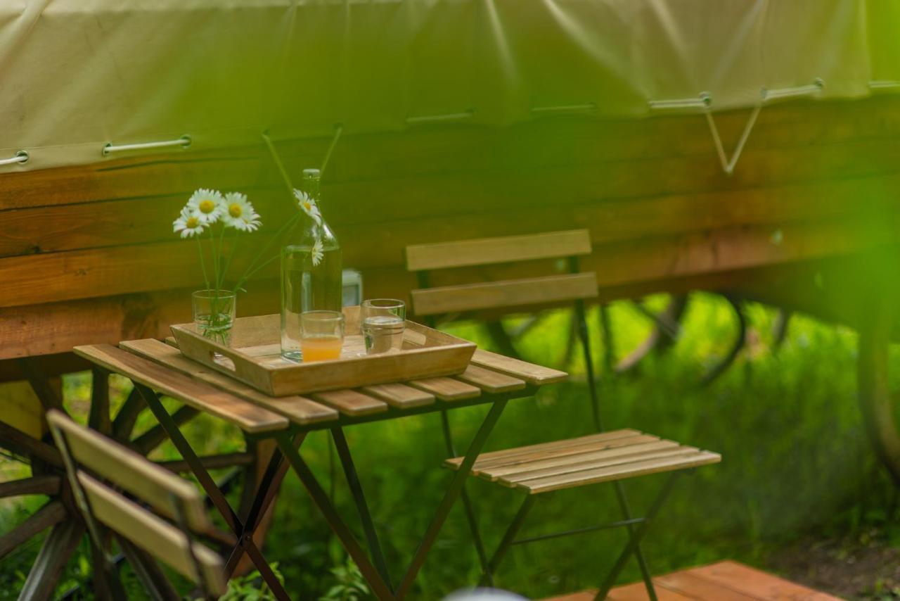 Hotel Dragonfly Gardens - The Wagons Braszów Zewnętrze zdjęcie