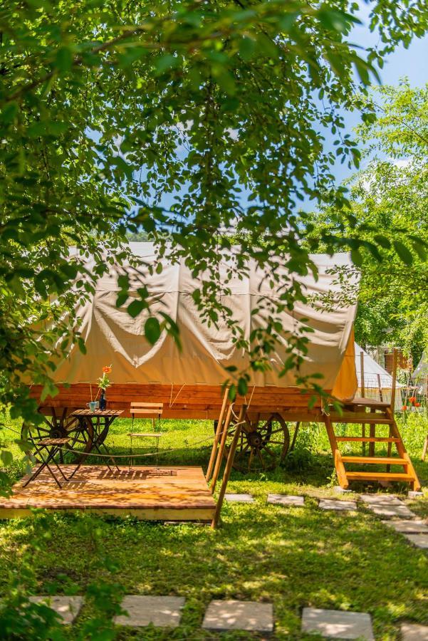 Hotel Dragonfly Gardens - The Wagons Braszów Zewnętrze zdjęcie