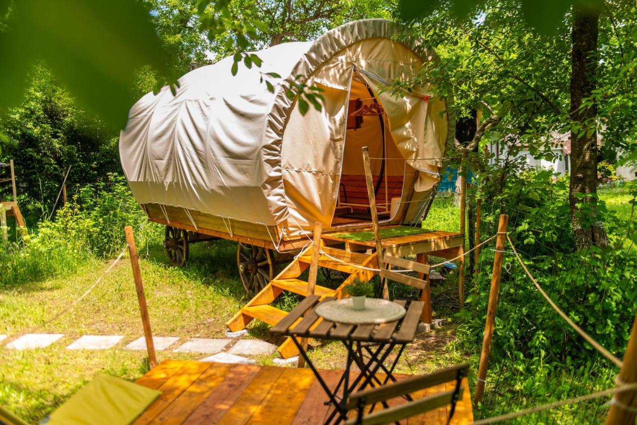 Hotel Dragonfly Gardens - The Wagons Braszów Zewnętrze zdjęcie