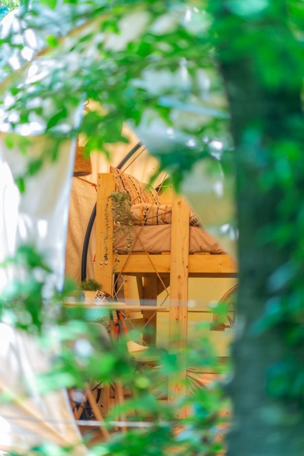 Hotel Dragonfly Gardens - The Wagons Braszów Zewnętrze zdjęcie