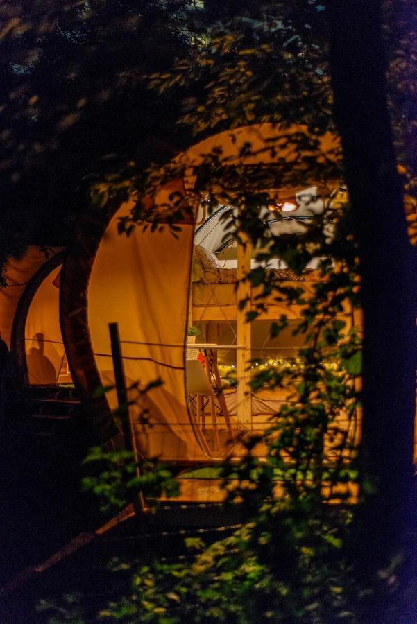 Hotel Dragonfly Gardens - The Wagons Braszów Zewnętrze zdjęcie