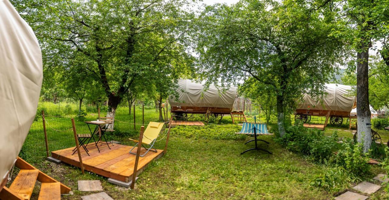 Hotel Dragonfly Gardens - The Wagons Braszów Zewnętrze zdjęcie